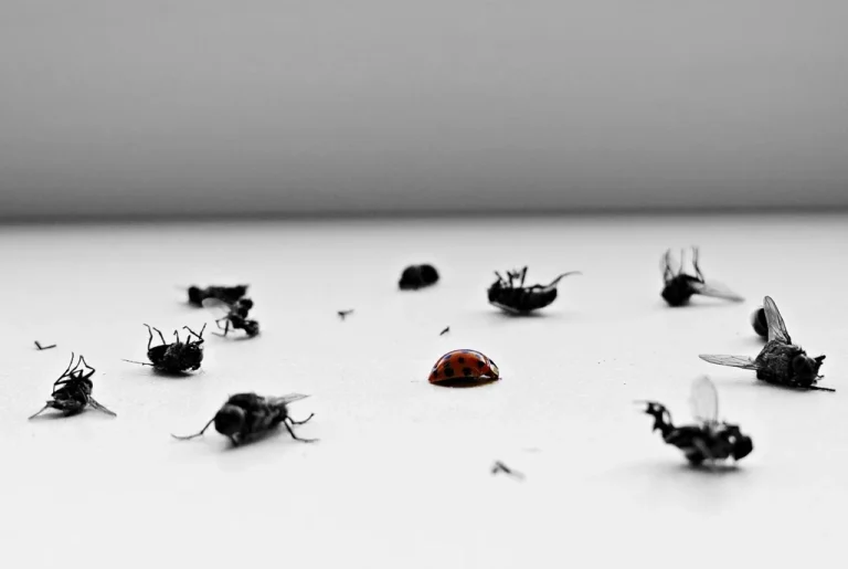 What Are the Top Mistakes Homeowners Make with Pest Control?
